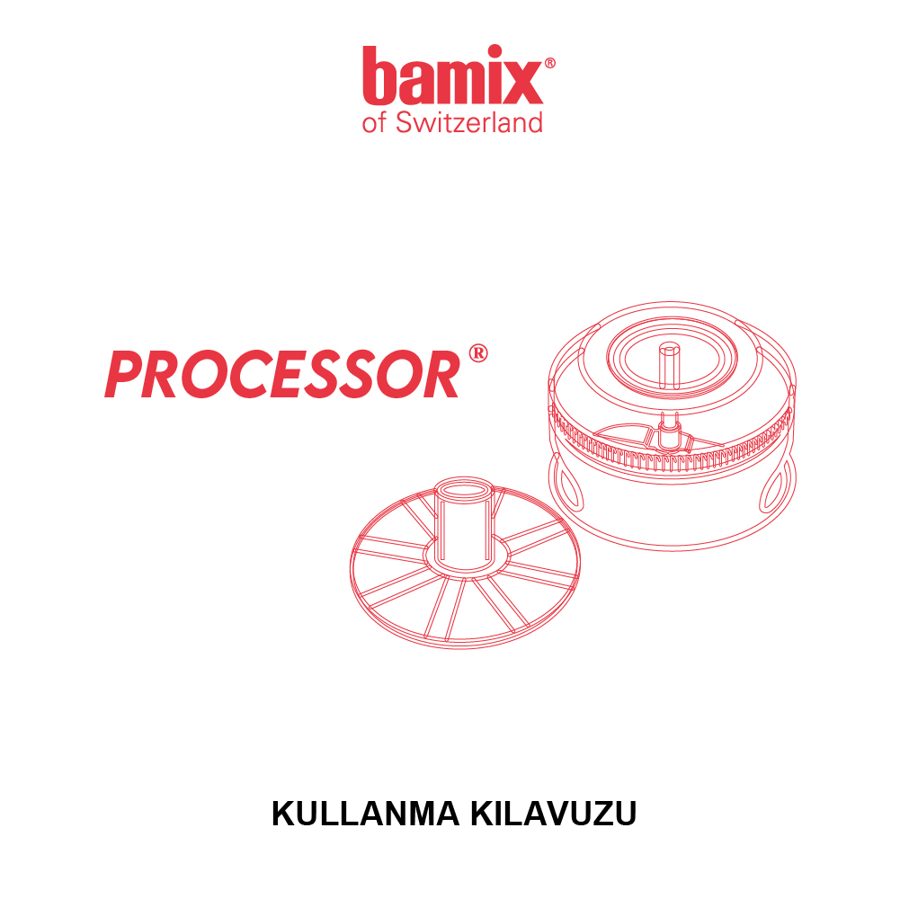 Processor-100